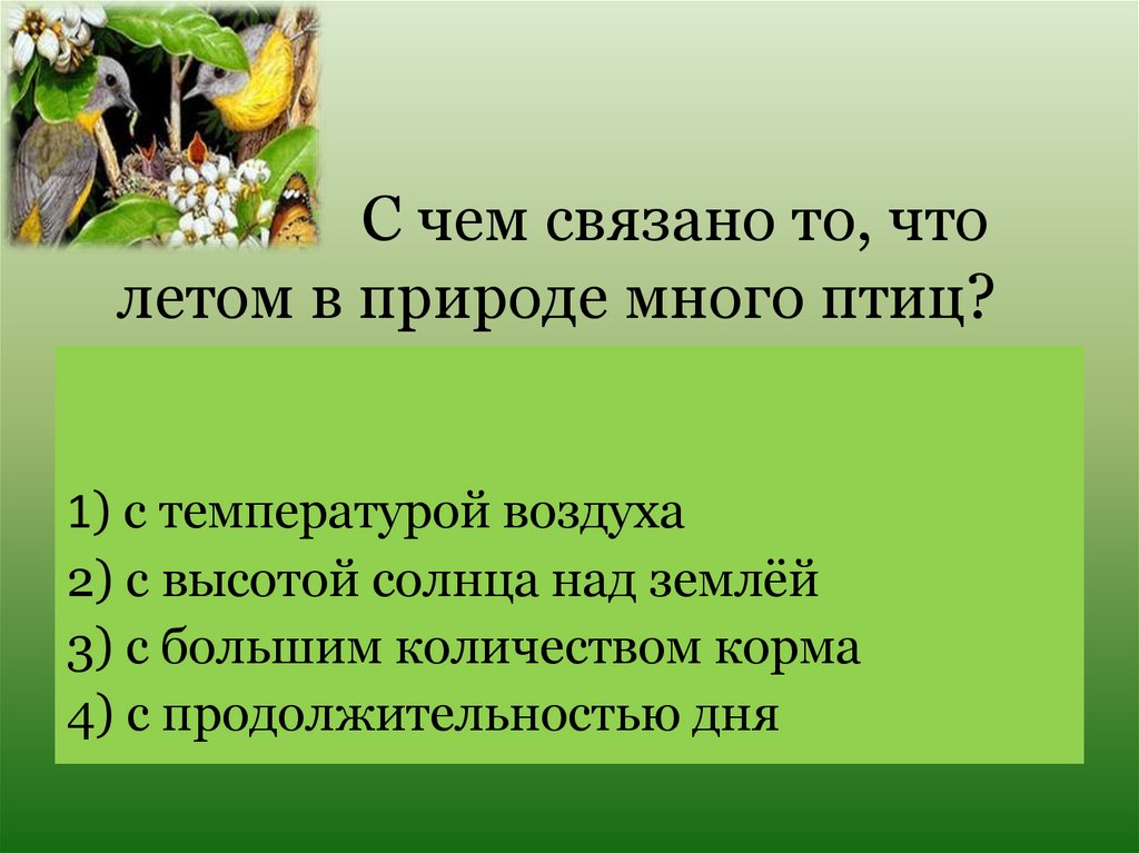 Летние изменения в природе 1 класс презентация