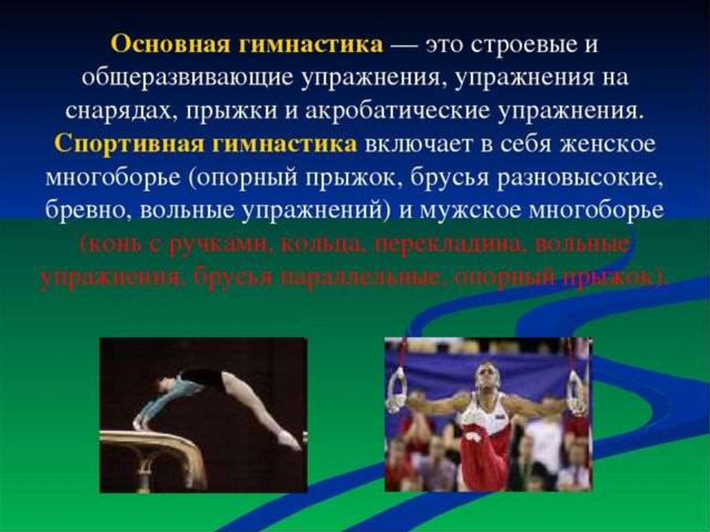 Понятие упражнение. Основная гимнастика. Гимнастика это определение. Спортивная гимнастика это определение. Общеразвивающая гимнастика.