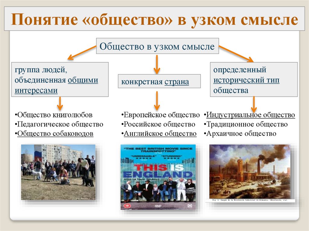 Человек и общество презентация 6 класс