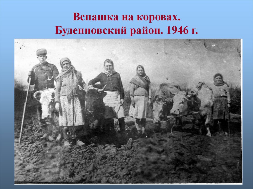 Как создание колхозов повлияло на жизнь крестьян. Колхоз Вольный труд. Фото крестьянина с сохой.