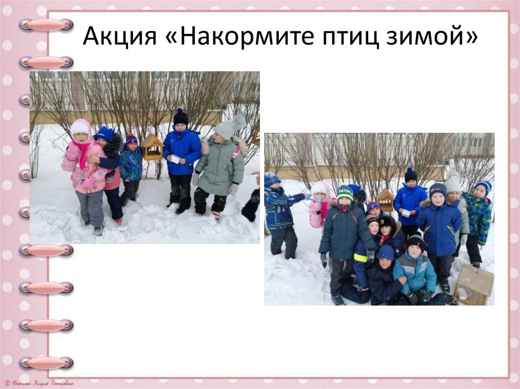 Акция «Накормите птиц зимой»