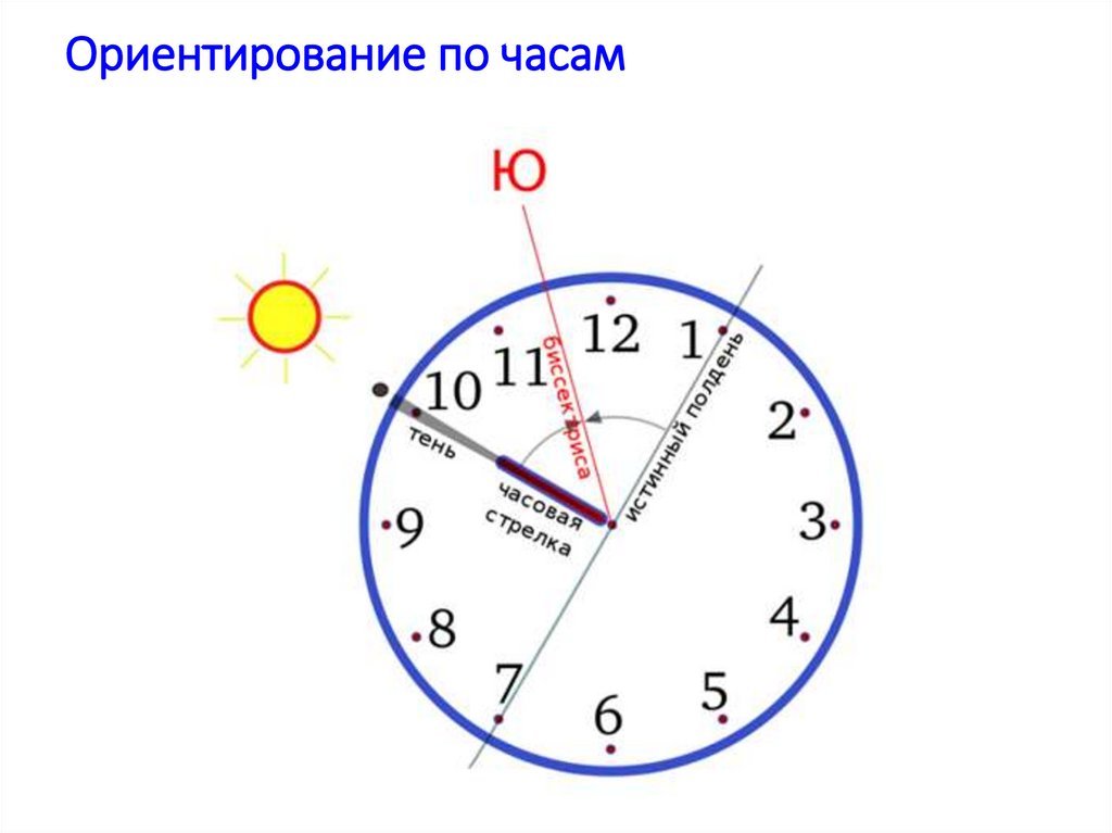 Как ориентироваться по зеркалам. Ориентирование по часам. Ориентация по часам. Ориентировка по часам. Ориентирование по часам со стрелками.