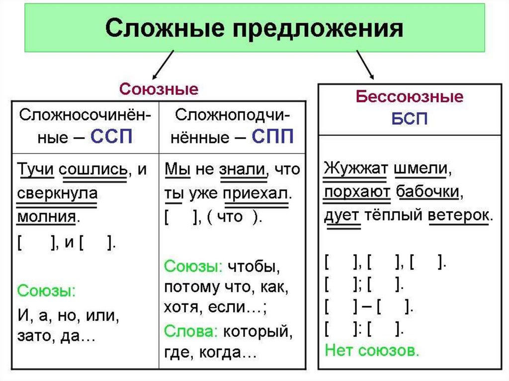 Элемент предложение 1 она является предложение 2. Сложные предложения в русском языке примеры. Виды сложных предложений схема с примерами. Виды сложных предложений таблица с примерами 5 класс. Что такое сложное предложение в русском языке.