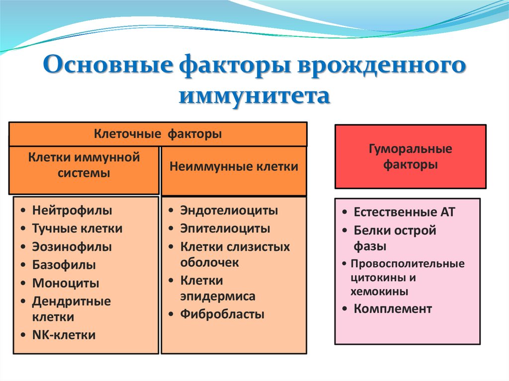 Основы иммунологии презентация