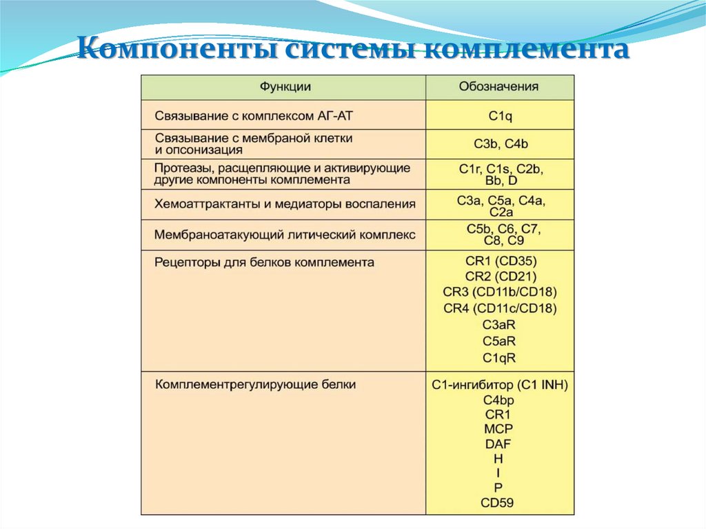 Комплекс комплемента