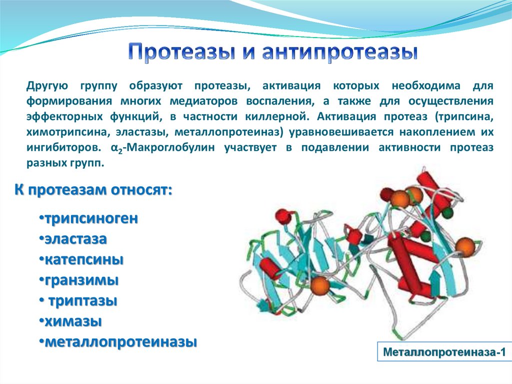 Основы иммунологии презентация