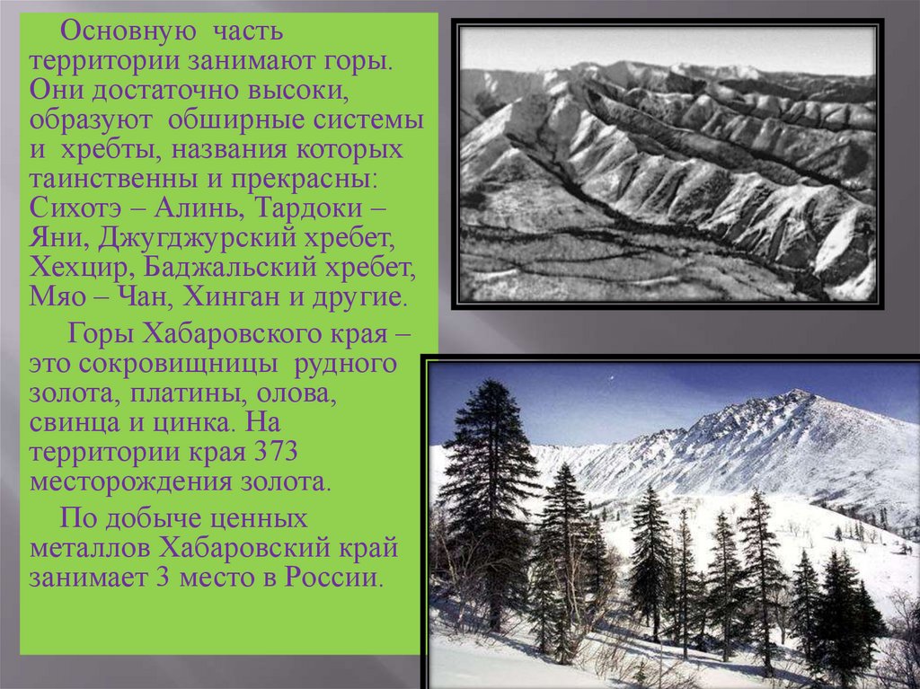 Горы занимают. Баджальский хребет на карте. Хабаровский край хребты презентация. Высочайшая вершина Сихотэ Алинь. Тардоки-яни на карте.