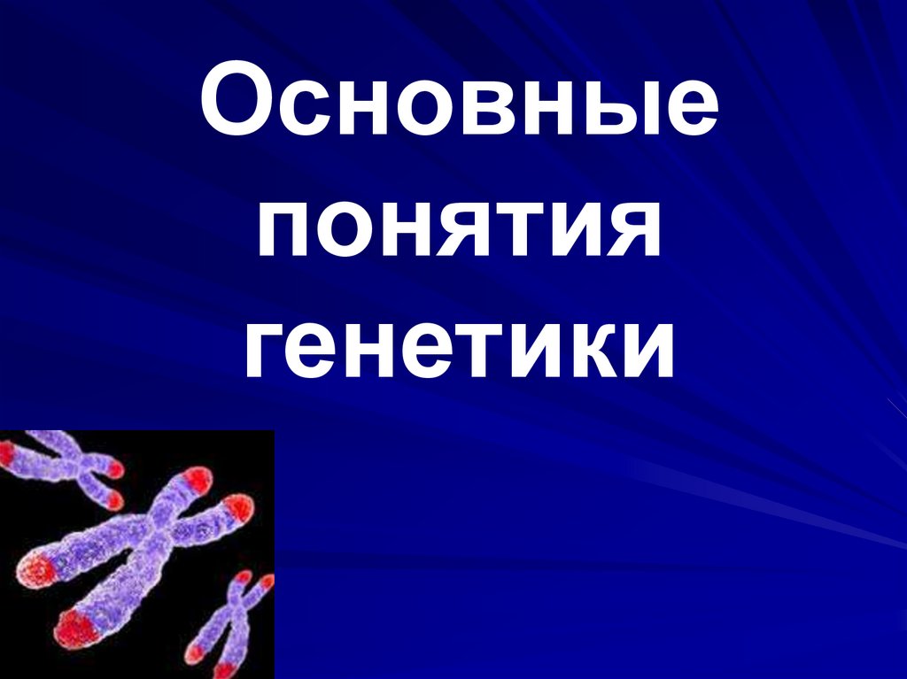 Презентация генетика человека 10 класс профильный уровень