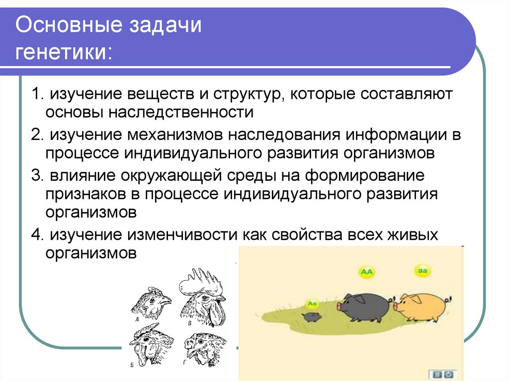 Решу егэ биология генетика задачи