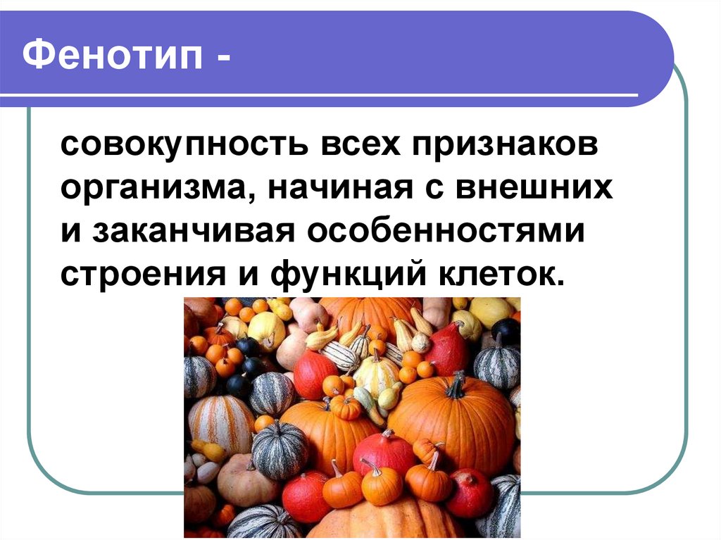 Фенотипическим признакам организма. Фенотип это совокупность. Фенотипические особенности. Совокупности фенотипических признаков. Фенотип организма это.