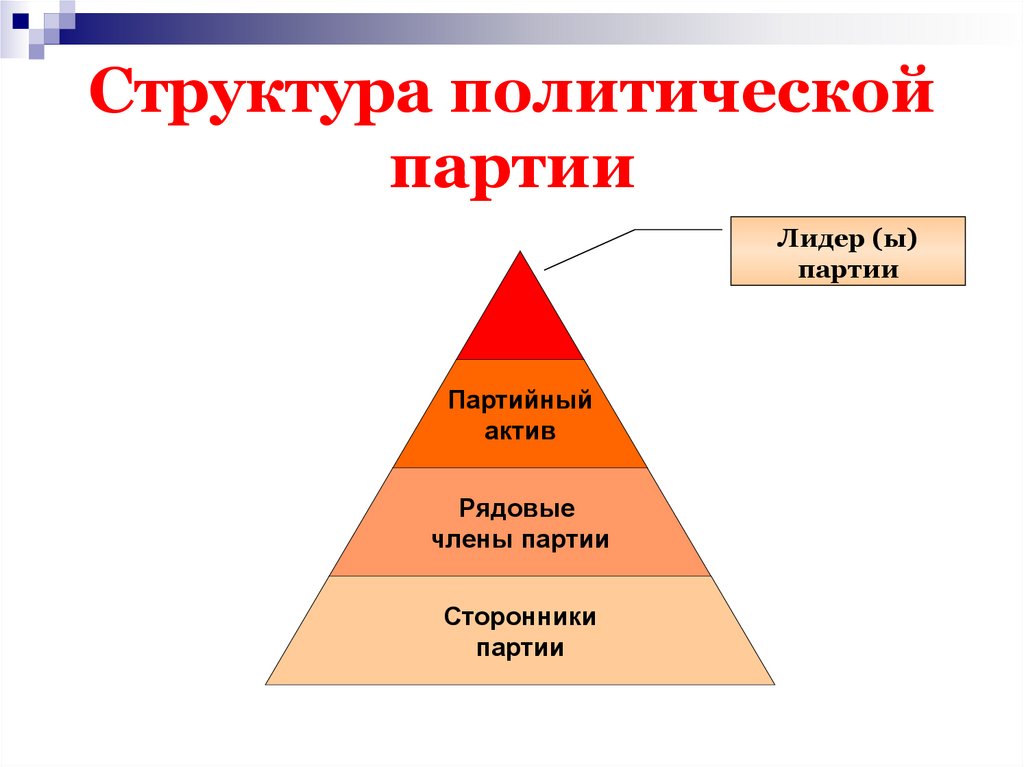 Структура политической партии