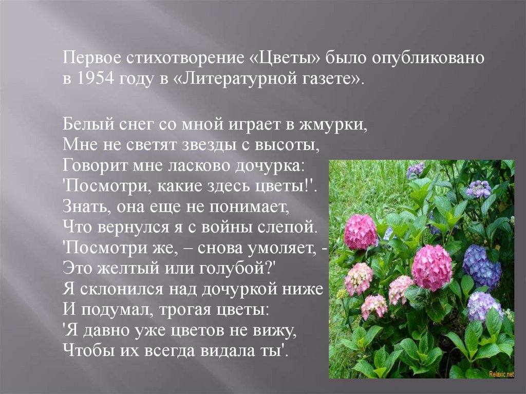 Проанализировать стихотворение цветок нимбуева. Стихи про цветы. Цветок жизни стих. Поэма и цветы. Стихи Николая Рыбалко.