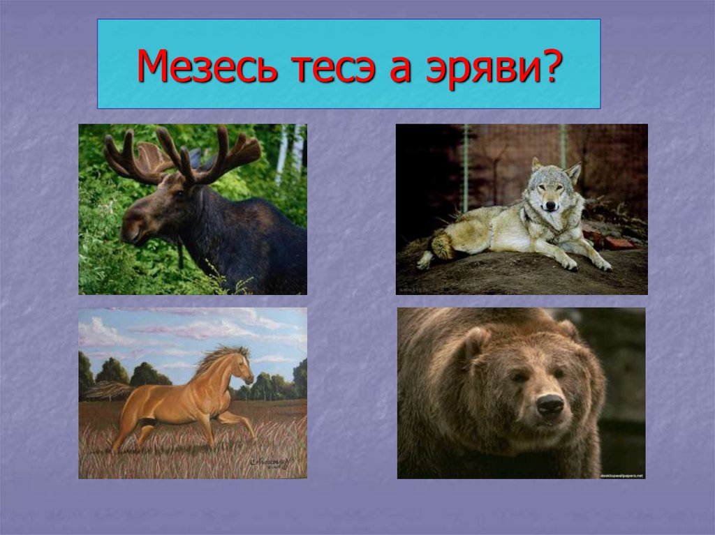Мезесь тесэ а эряви?