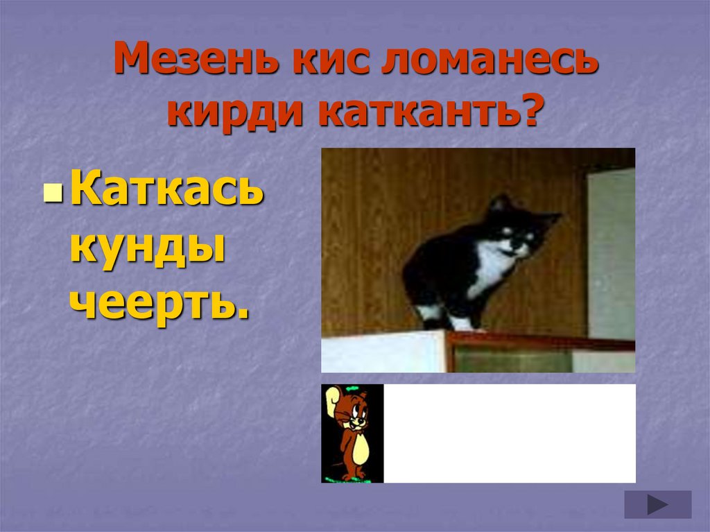Мезень кис ломанесь кирди катканть?