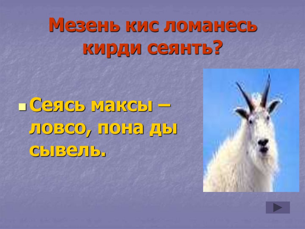 Мезень кис ломанесь кирди сеянть?