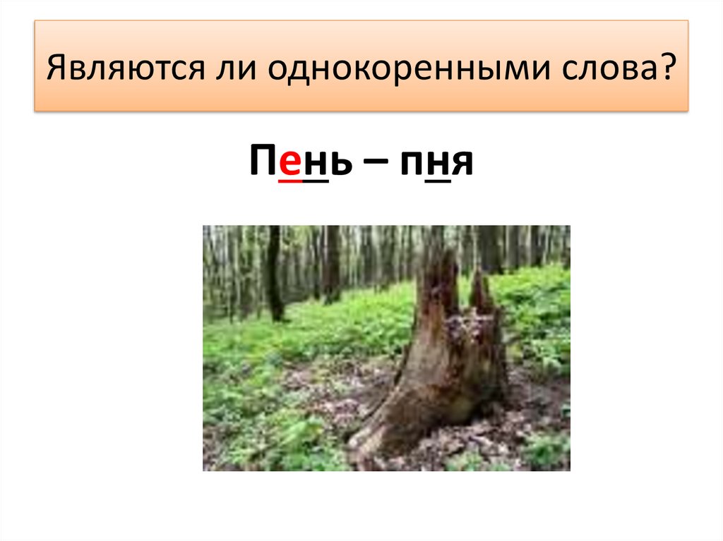 Слово п н е. Пень однокоренные слова. Пень предложение. Пенек однокоренные слова. Пень-пня однокоренные?.