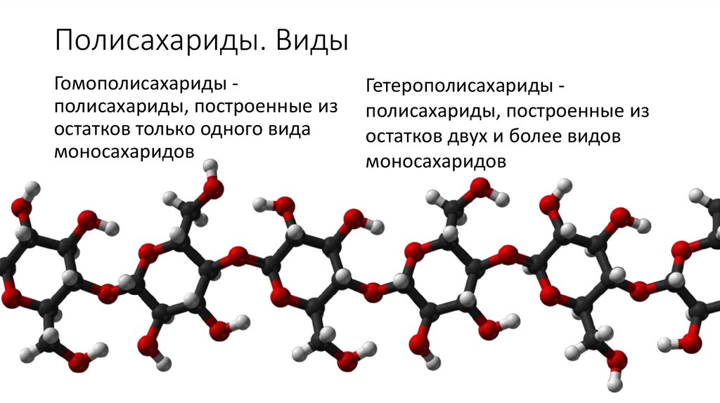 Молекула полисахарида