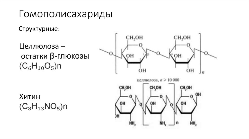 Гомополисахариды