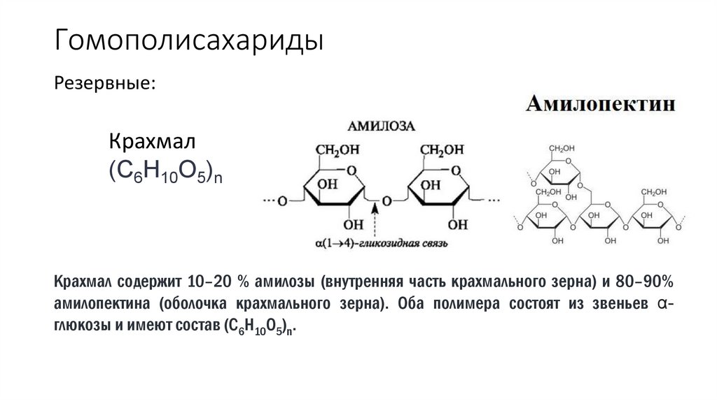 Гомополисахариды