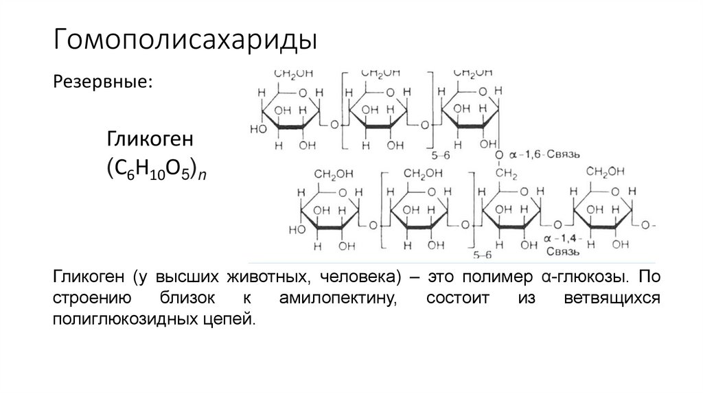 Гомополисахариды