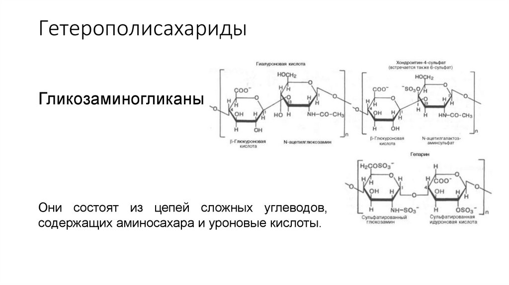 Гетерополисахариды