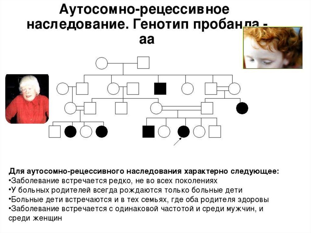 Аутосомно рецессивное наследование. Генотип пробанда аутосомно рецессивное. Характеристика аутосомно-рецессивного типа наследования. Аутосомно-рецессивный Тип наследования генотипы. Для аутосомно-рецессивного типа наследования характерно.