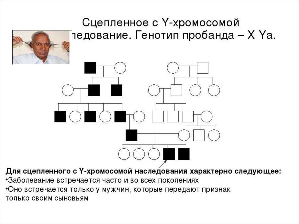 У сцепленные заболевания. Тип наследования и генотип пробанда. Родословная генетика пробанд. Генотип пробанда как определить. Y сцепленный Тип наследования генотип.