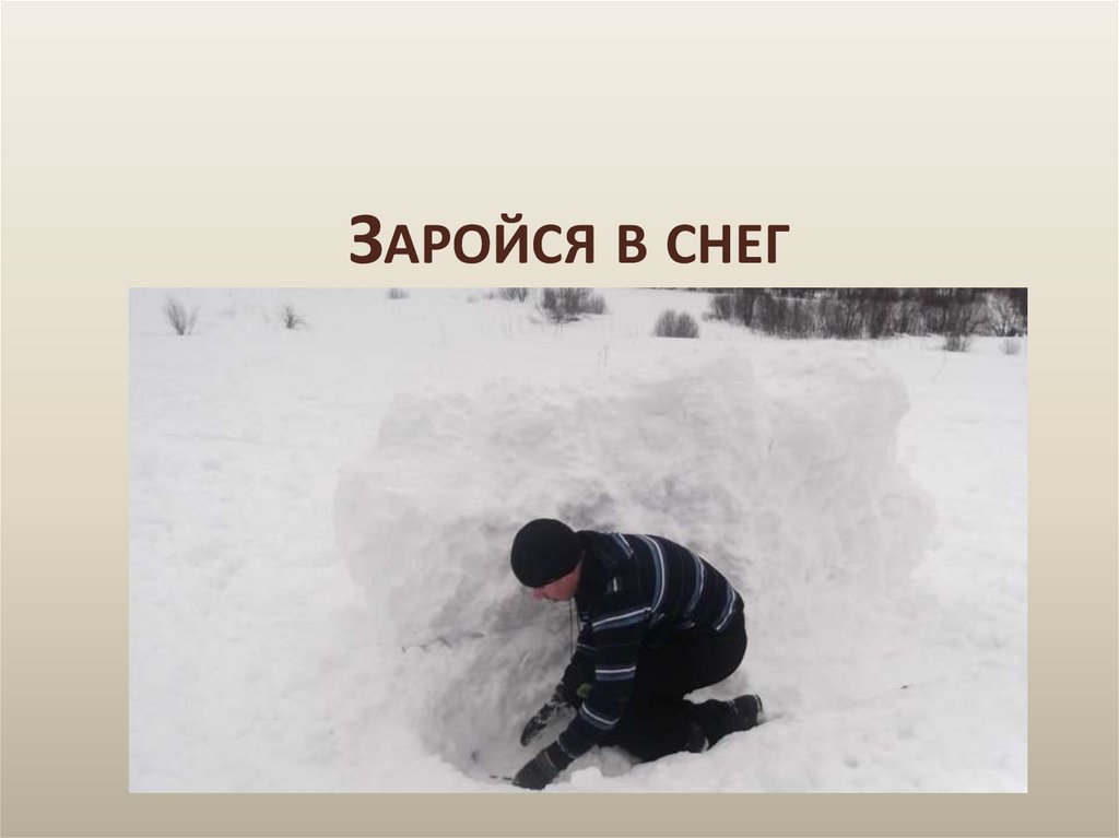 Заройся в снег
