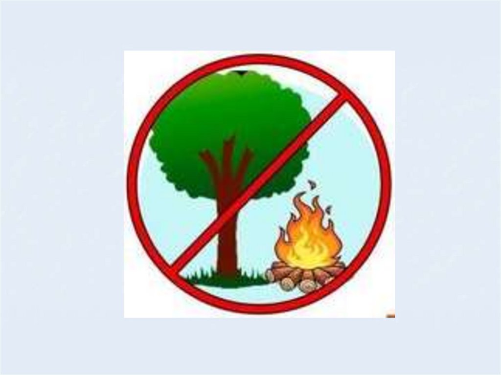 Разводить костер в лесу запрещено. Экологические знаки. Знаки защиты природы. Природоохранные знаки. Экологические знаки по охране природы.