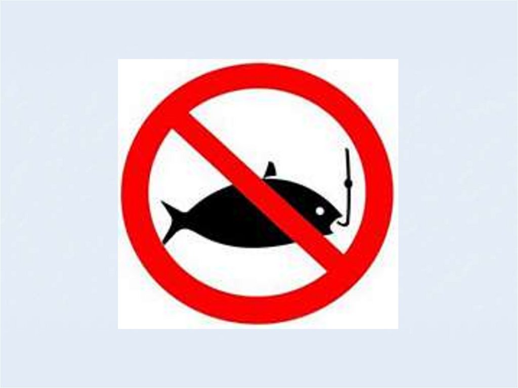 Запрет на рыбалку с лодки 2024