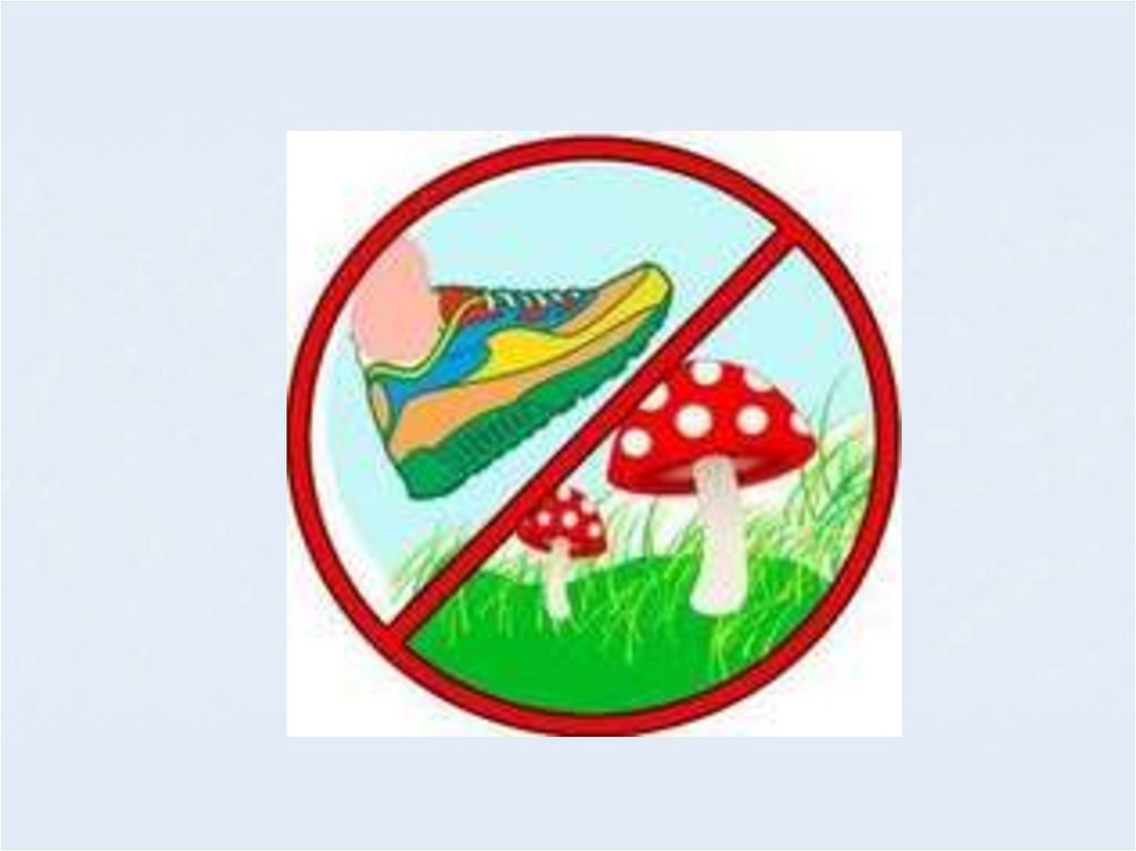 Знак нельзя собирать грибы. Экологические знаки. Природоохранные знаки. Экологические знакики. Экологические знаки природы.