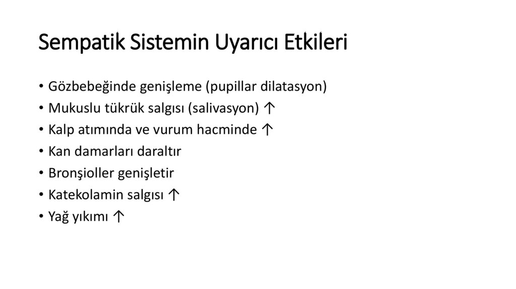 Sempatik Sistemin Uyarıcı Etkileri