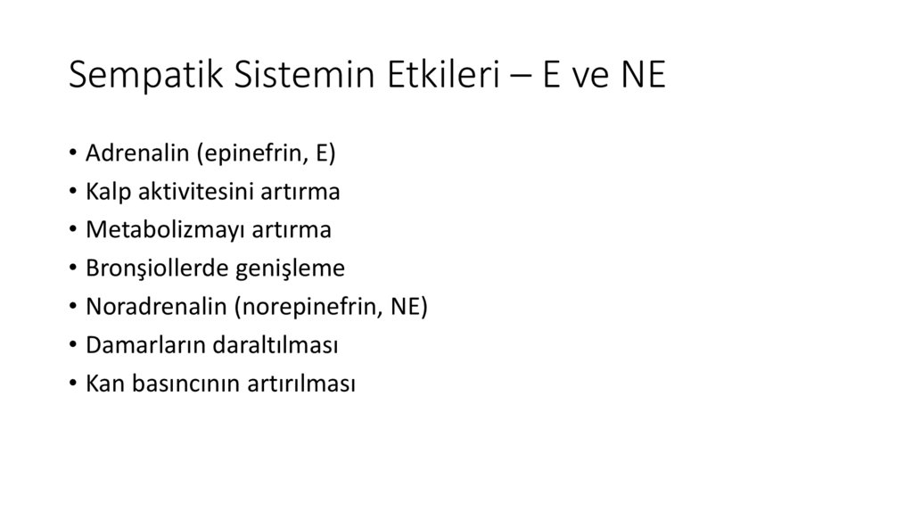 Sempatik Sistemin Etkileri – E ve NE
