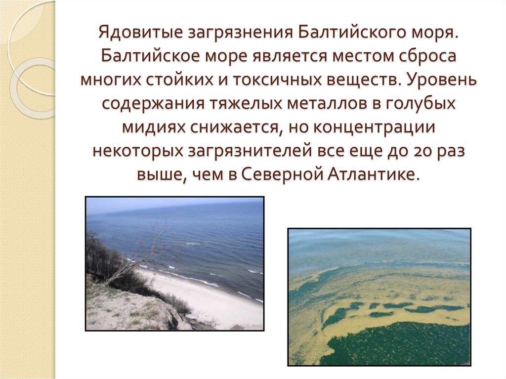 Ядовитые загрязнения Балтийского моря. Балтийское море является местом сброса многих стойких и токсичных веществ. Уровень
