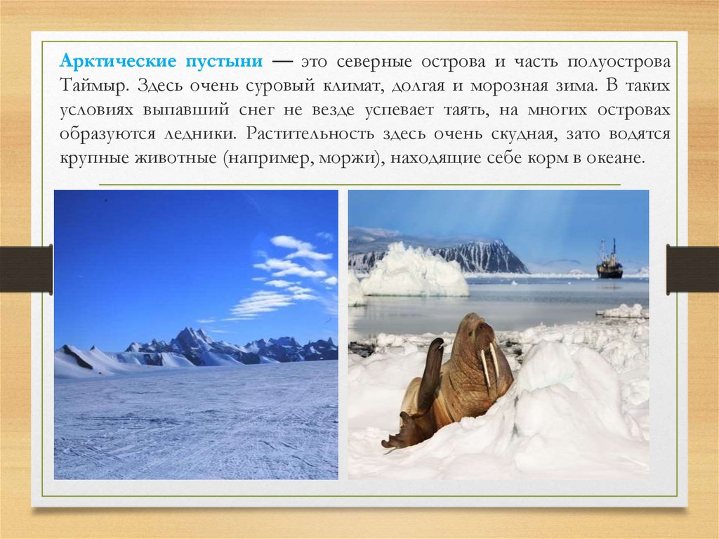 Какие особенности арктической пустыни. Арктические пустыни презентация. Арктические пустыни климат. Арктические и антарктические пустыни климат.