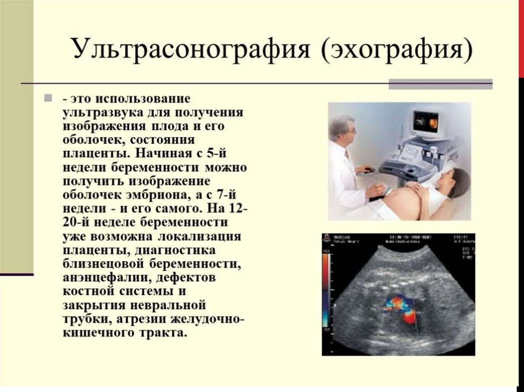 Медико генетическое консультирование презентация