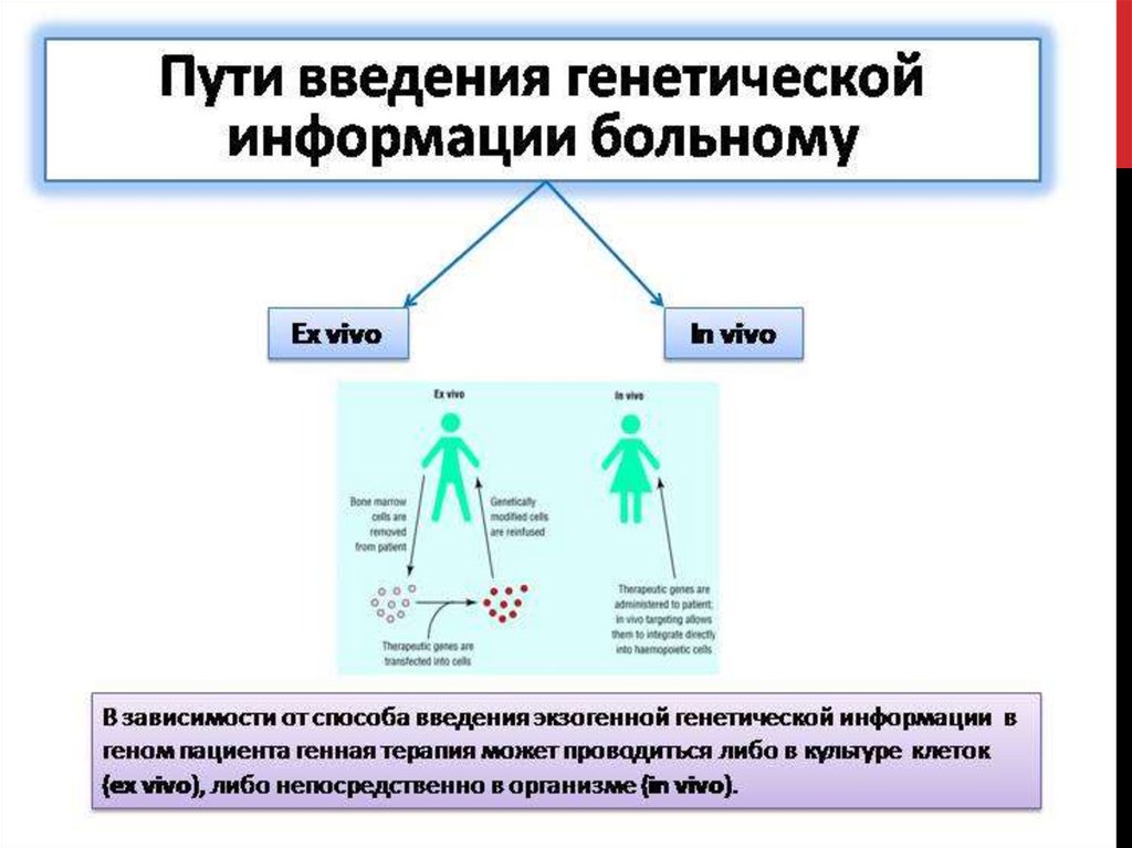 Тесты по медицинской генетике