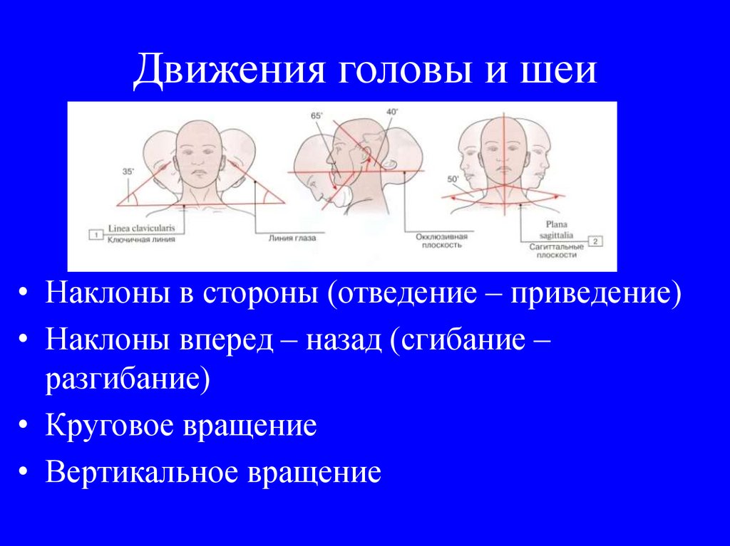 Вращательные движения головой