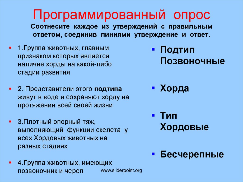 Соотнесите каждый. Признаки человека к позвоночным. Выберите правильные утверждения рыбы водные позвоночные животные.