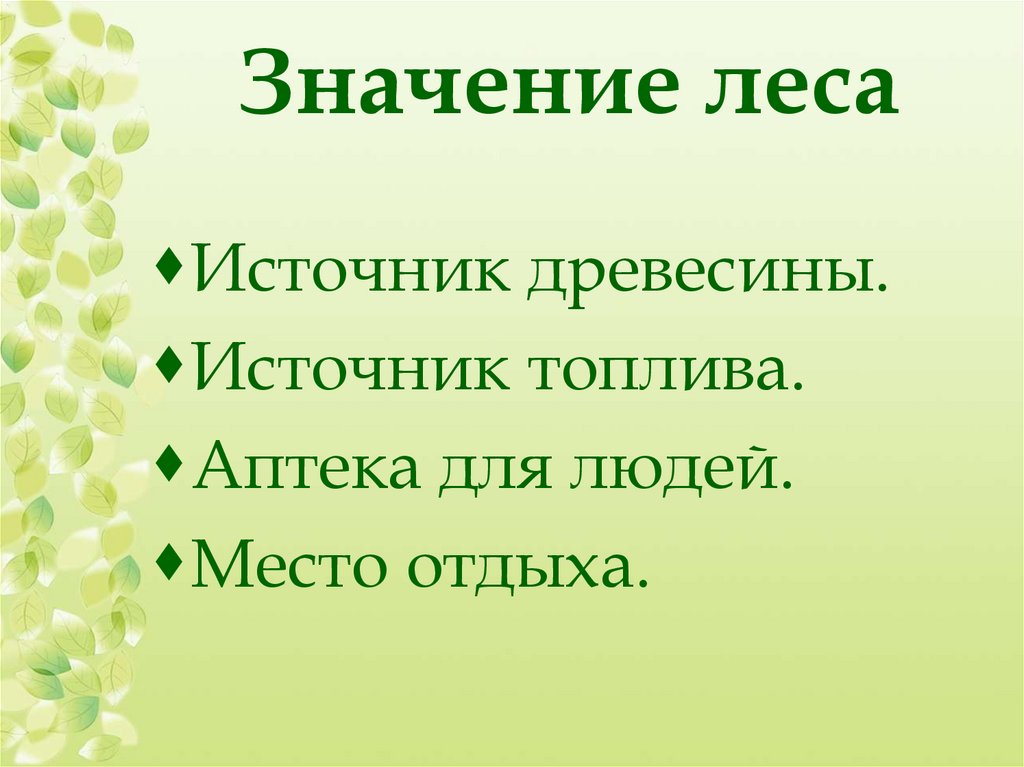 Лесная аптека презентация для дошкольников