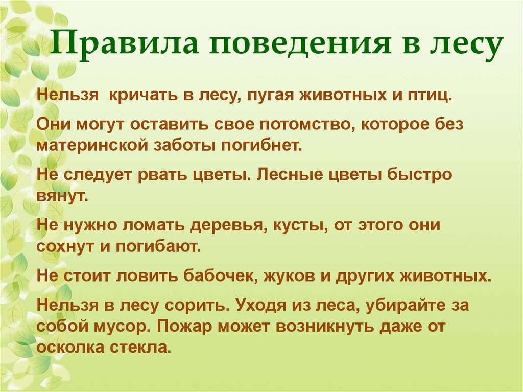 В воде и в лесу окружающий мир 2 класс презентация