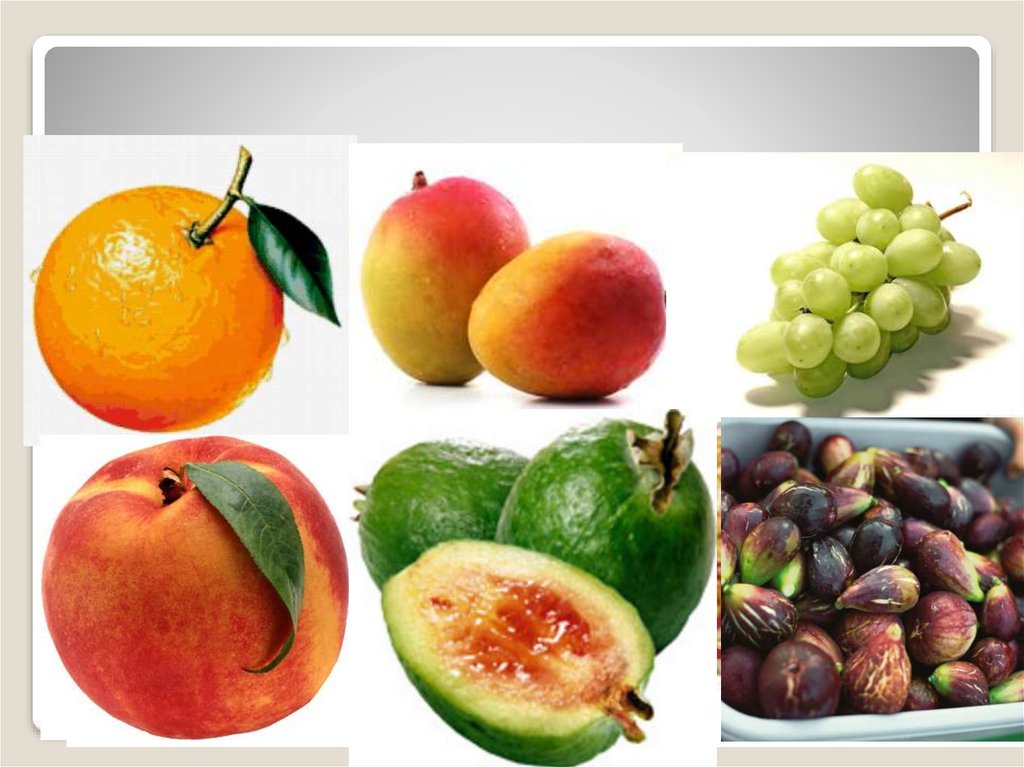 Лавка возможностей