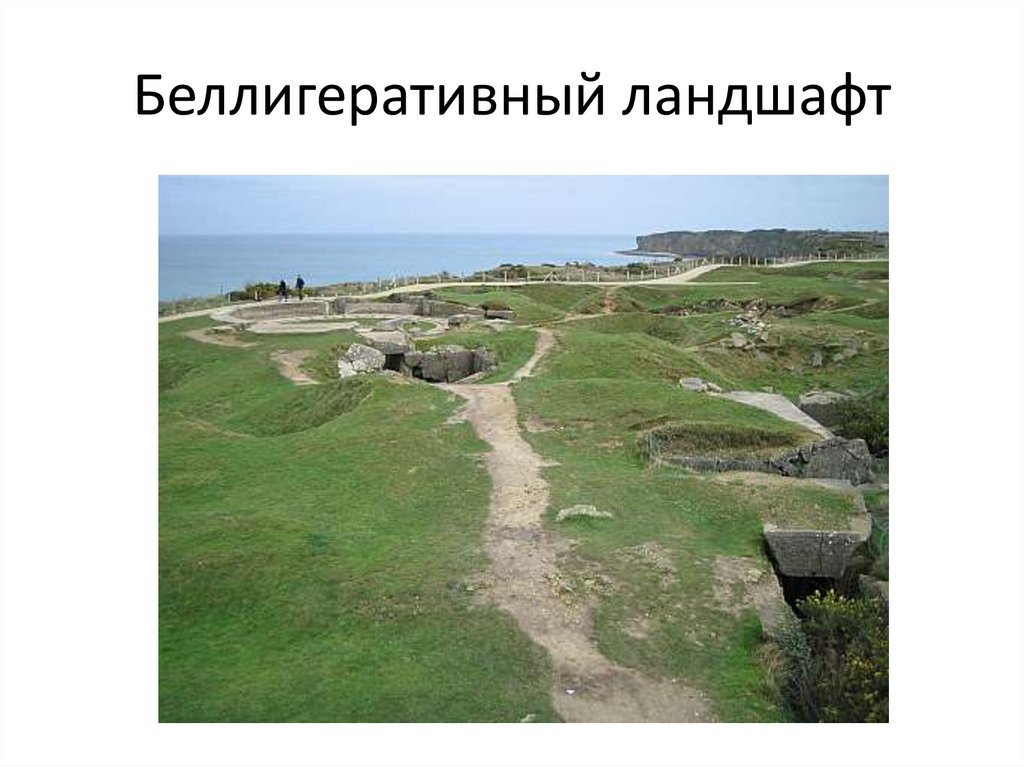 Беллигеративный ландшафт
