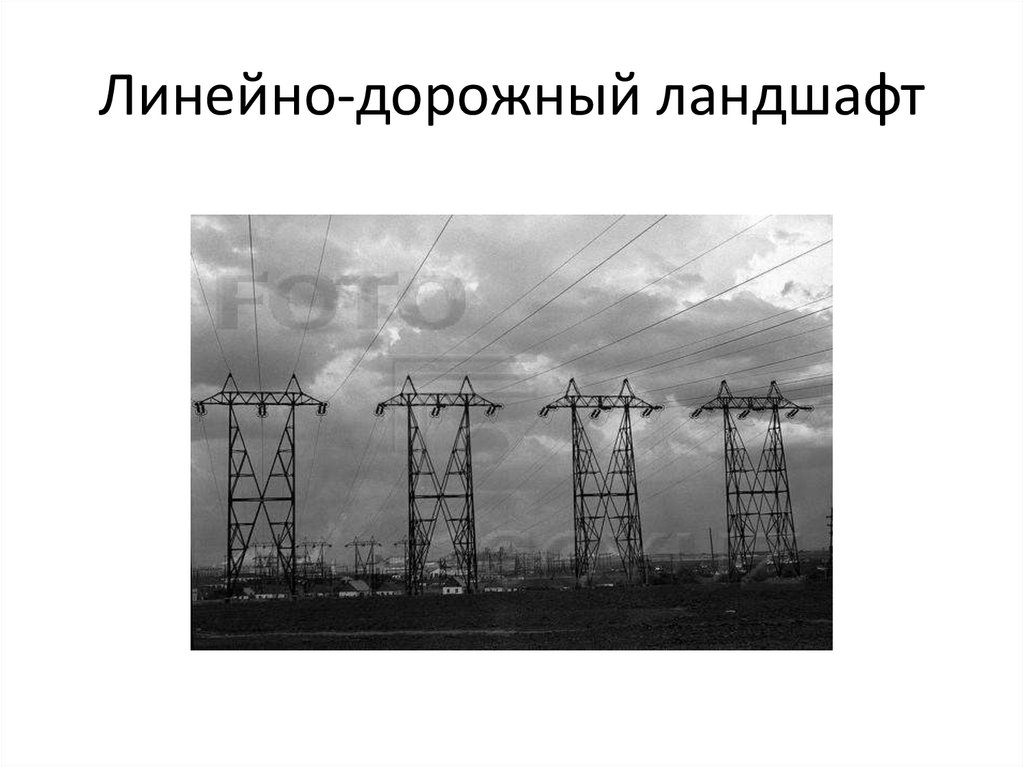 Линейно-дорожный ландшафт
