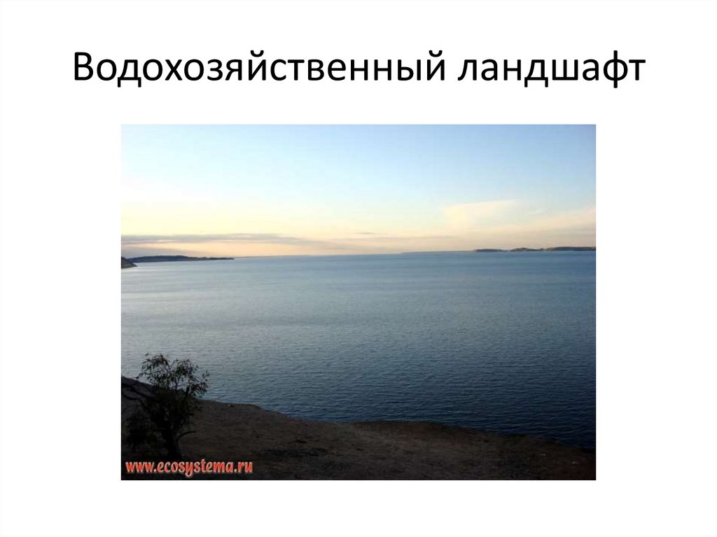 Водохозяйственный ландшафт