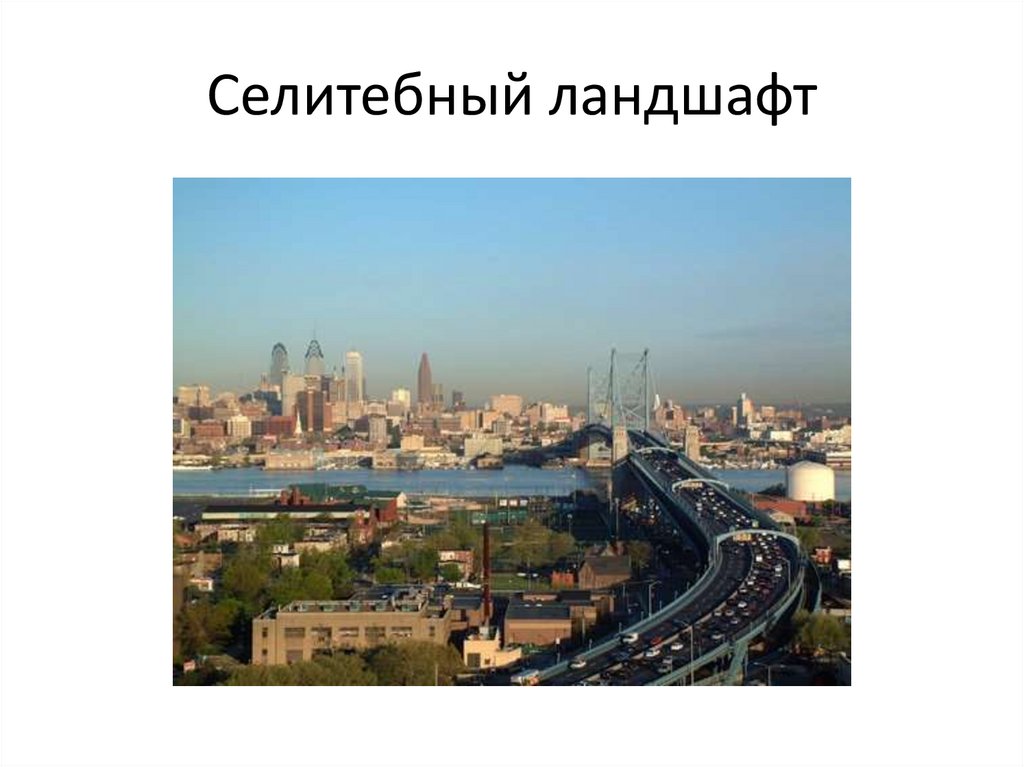 Селитебный ландшафт