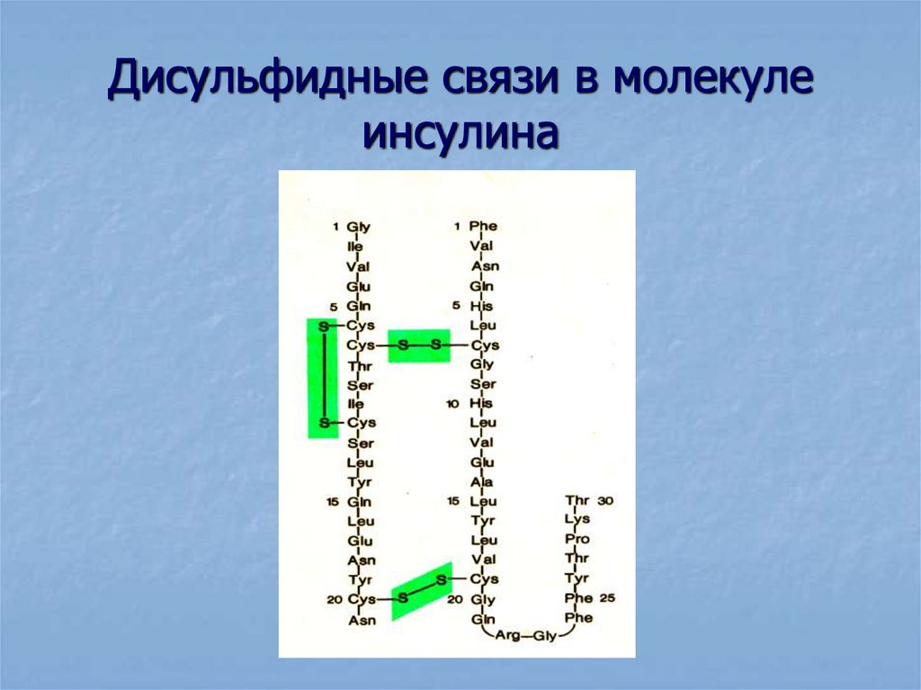 Дисульфидные мостики