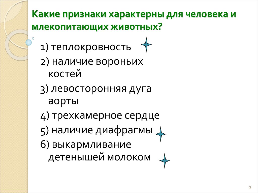 Признаки млекопитающих у человека. Общие признаки животных и человека теплокровность.