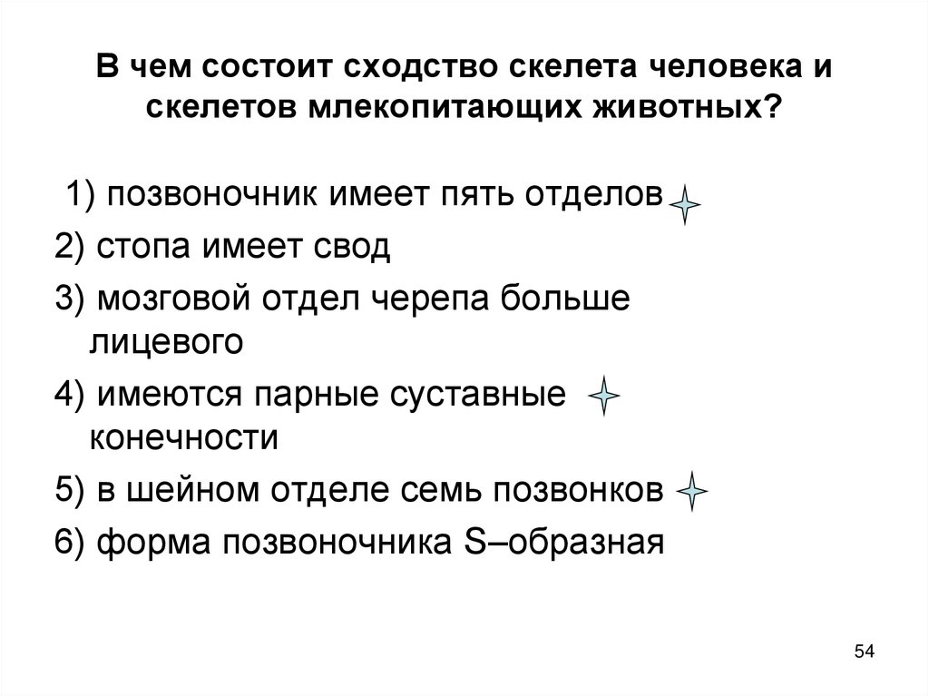 Сходство человека и млекопитающих свидетельствует об их родстве и общем плане строения