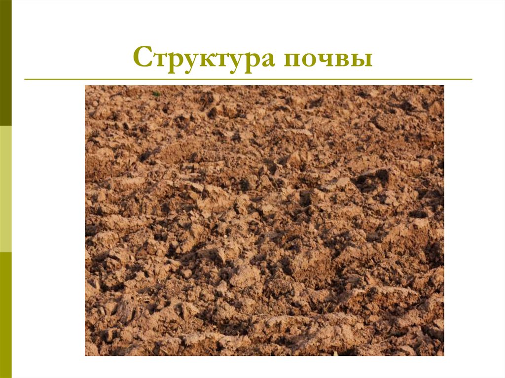 О каком свойстве почвы идет речь. Состав почвы. Структура почвы. Состав и структура почвы. Структурирование почвы.